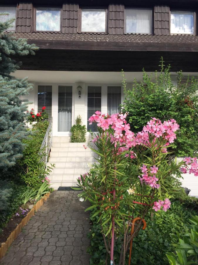 Anna Vendeghaz Eger Daire Dış mekan fotoğraf